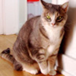 Meet your Posher, Stacey